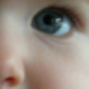 Ottawa's top tweeters for 2012 | PhD in Parenting - @phdinparenting
