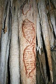 Nerja Cave Paintings