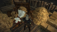 The Dead Assassin