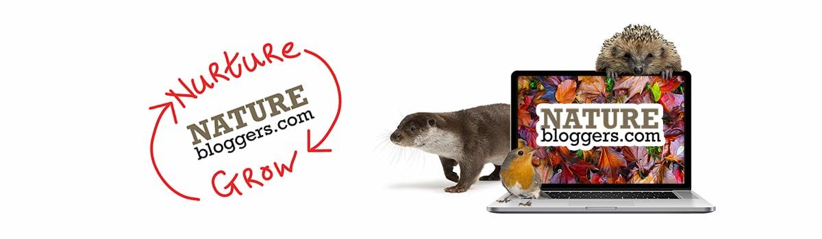 Headline for 10 Ways To Grow Your Blog Audience