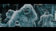 Yeti