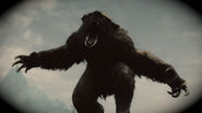 Beast of Bray Road