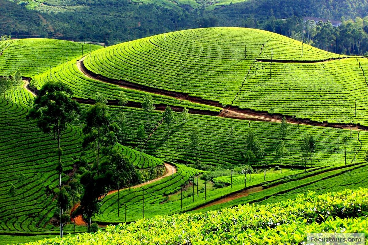 beautiful-hill-stations-of-tamil-nadu-a-listly-list