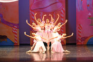 Dance of the Sugar Plum Fairy