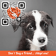 Free QR Code Tracking, Custom QR Codes & Mobile Web