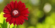 Pinterest opens promoted pins to all advertisers