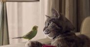 The 8 best ads you didn't see this year