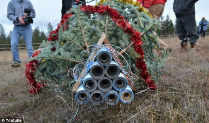5 ways to get rid of your christmas tree a listly list 5 ways to get rid of your christmas tree a listly list