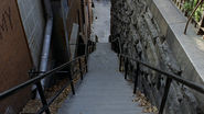 The Steps - The Exorcist