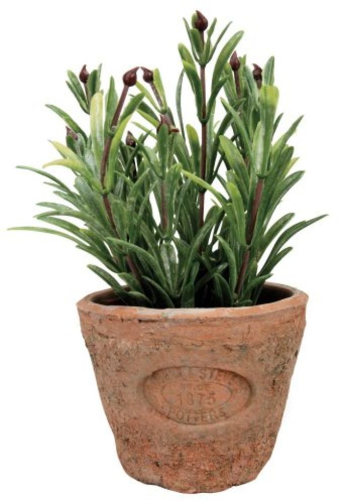 Top 10 Best Artificial Herbs in Pots A Listly List