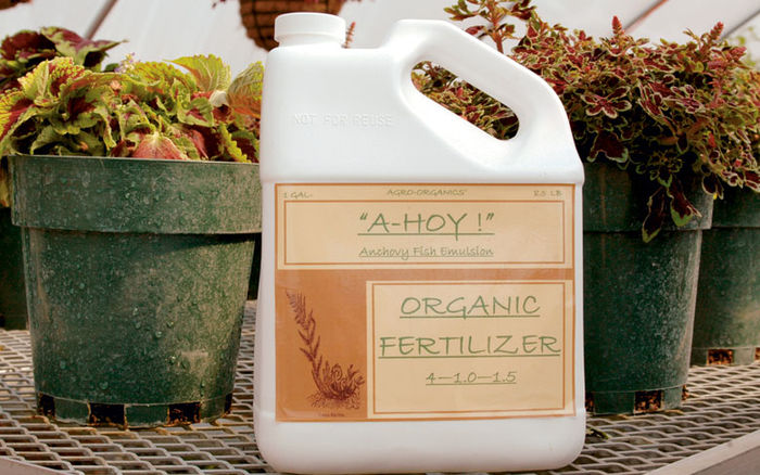 best-ingredients-used-in-organic-fertilizer-a-listly-list