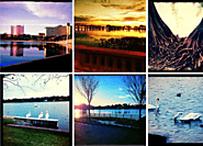 City of Lakeland - Fan Photos