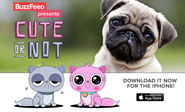 If You Think Tinder Needs More Cute Pets, BuzzFeed Has The App For You