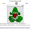 virtual frog dissection kit virtual frog dissection kit