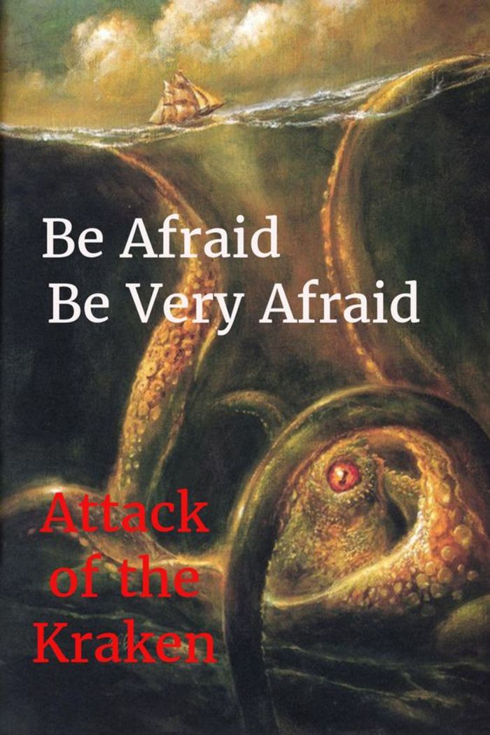 Best Black and White Octopus Shower Curtain Designs A Listly List