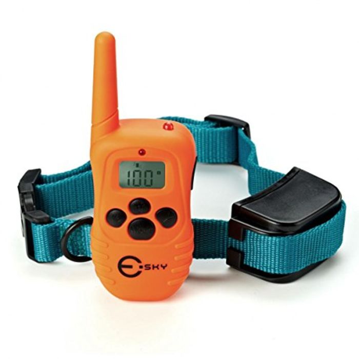 Best Rated Shock Collars For Medium Sized Dogs A Listly List
