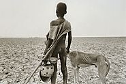 The Salt of the Earth