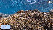 Google Brings New Street View Imagery To 40 Remote Islands And Underwater Locations