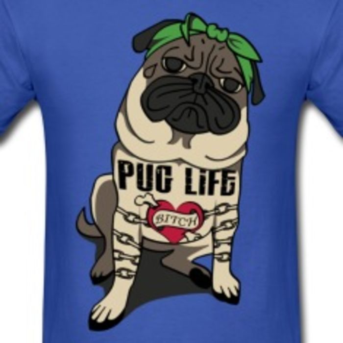 Custom t Shirts for Dogs CRAzy tshirts with dogs on them dog tees