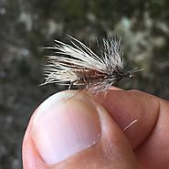 Deerhair Hopper - Heuschrecke