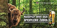 Żubr się wychyla w nowej kampanii reklamowej piwa (wideo)