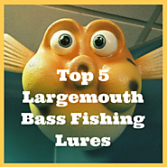 top 5 largemouth bass lures