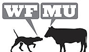 Free or Low Cost "Ready-Made" Music & Sound Effects for Video or Audio Projects | Free Music Archive: WFMU