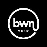 Free or Low Cost "Ready-Made" Music & Sound Effects for Video or Audio Projects | BWN Music