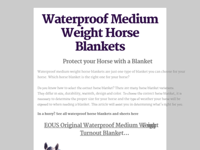 horse weight blankets medium