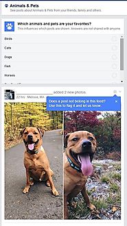 Facebook Tests Topic-Based Feeds