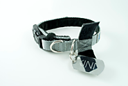 Kinn Koala Plush Comfort Dog Collar