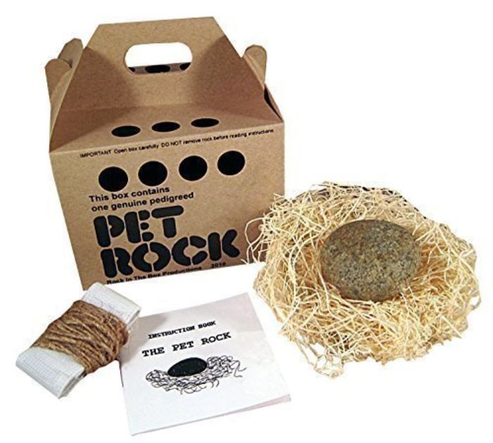 Best Pet Rocks for Kids of All Ages A Listly List