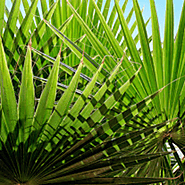Boutique Travel Blog