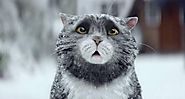 Sainsbury's May Have Won The Christmas Advert Battle This Year | The LAD Bible
