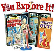 Smart Lab You Explore It: Human Body Model
