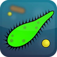 Bacterium