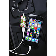 Cream Cactus USB Car Charger