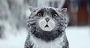 Sainsbury's May Have Won The Christmas Advert Battle This Year | The LAD Bible