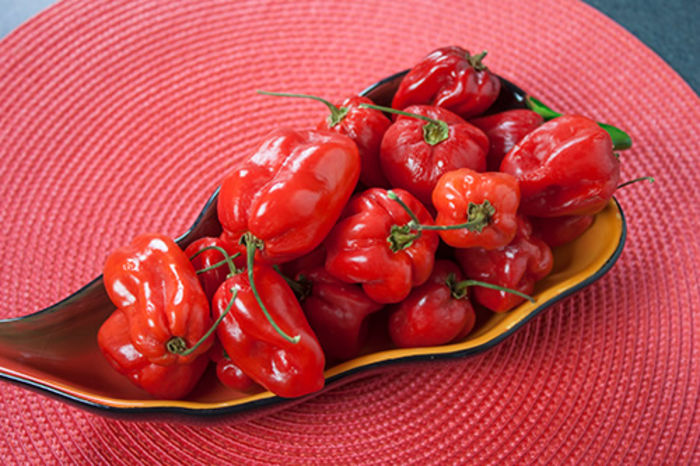 top-10-spiciest-chillies-in-the-world-a-listly-list