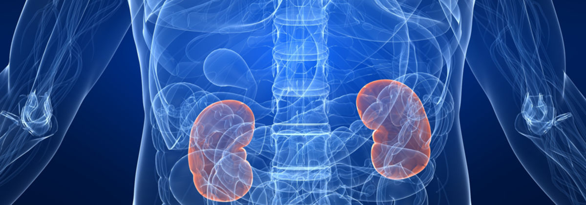 keep your medical records online next gen ehr