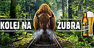 Żubr, Plus, Redd's i McDonald's z najlepszymi hasłami reklamowymi 2015 roku (wideo)
