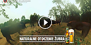 Reklamy tygodnia: Kompania Piwowarska, Nike, Pepsi, Żubr i Żywiec Zdrój (wideo)