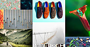 2016 Creative Trends - Shutterstock
