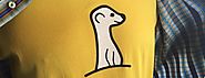 Meerkat is giving up on livestreaming to build a social network instead