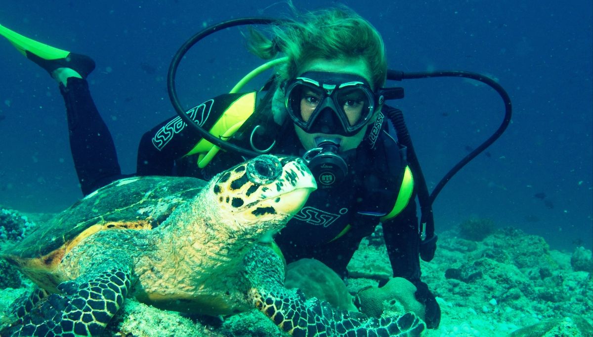 Best Dive Spots in Maldives The perfect place to go underwater A