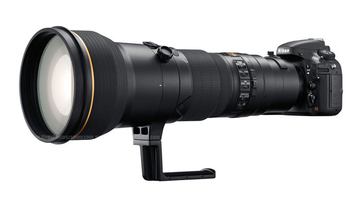 Best Wildlife Lenses for Nikon | A Listly List