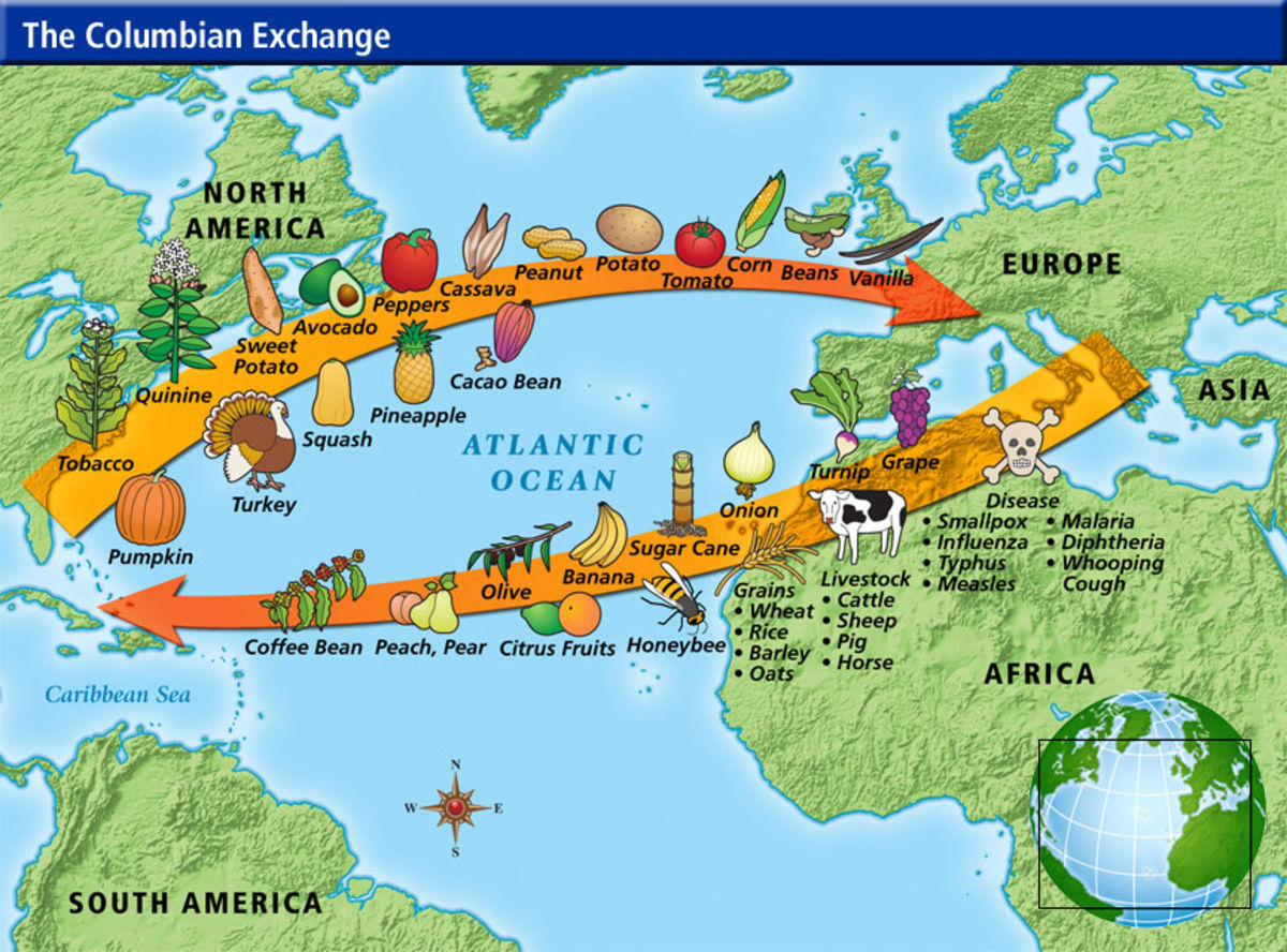 How Did The Columbian Exchange Change The New World