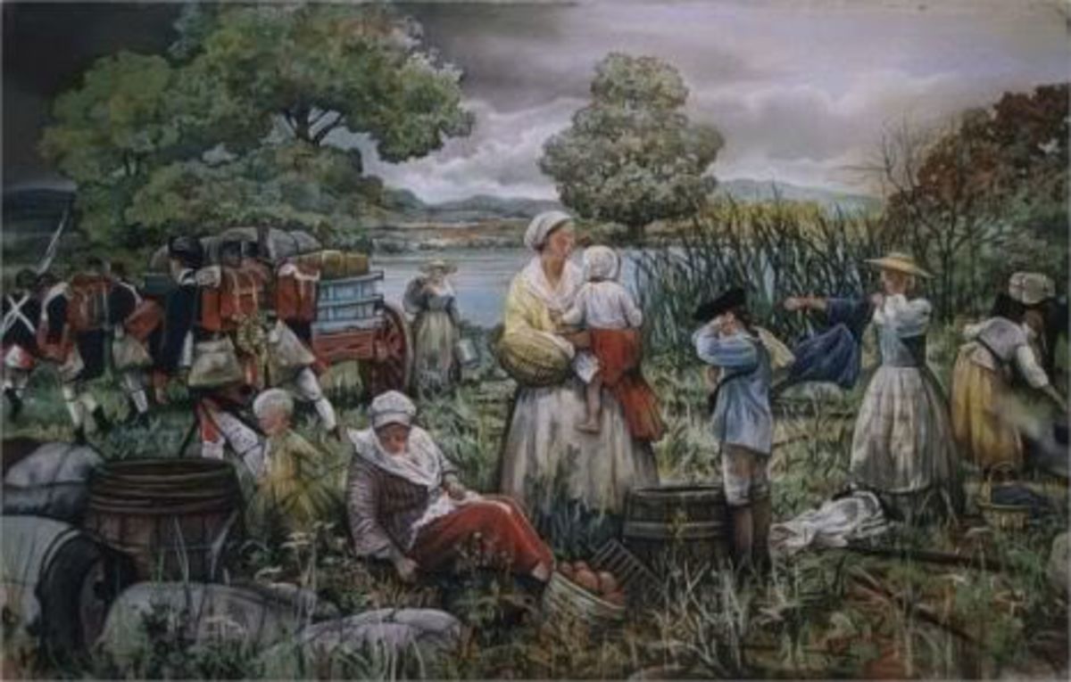 role of women during the american revolution Roles of women in the american revolution andthe civil war the ninth role in which women were found during the revolution and the civil war is the role of warrior. role of women during the american revolution Roles of women in the american revolution andthe civil war the ninth role in which women were found during the revolution and the civil war is the role of warrior.