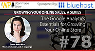 The Google Analytics Essentials for Growing Your Online Shore
