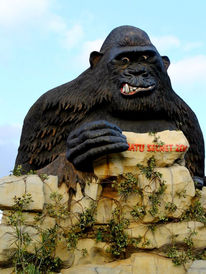 Top 5 Zoos in Asia A Listly List